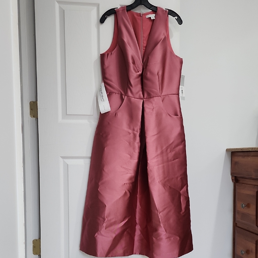 Kay Unger Champagne Rose Dress NWT